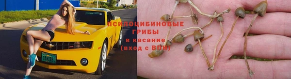 apvp Зерноград