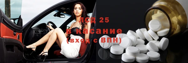 spice Богданович
