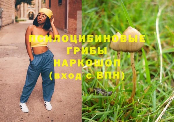 mix Ельня