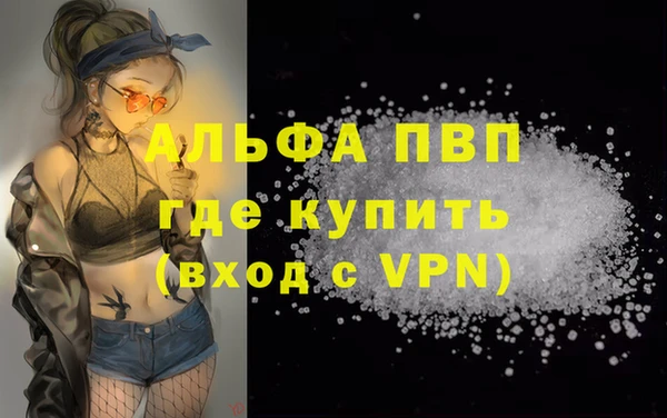 spice Богданович