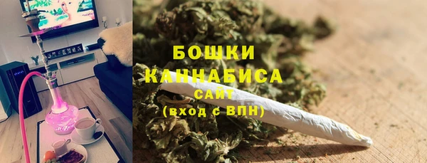 spice Богданович
